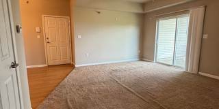 230 West Hills Gallery 26