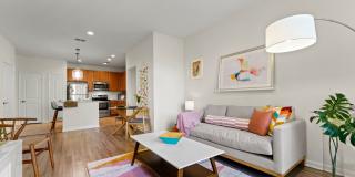 Carlyle at Bartram Park Gallery 2