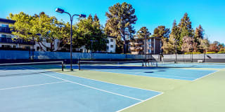 Spruce Apartments Gallery 20