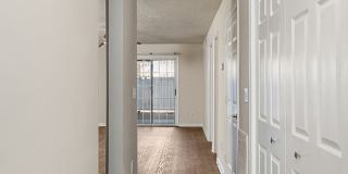 Pepperstone Gallery 1