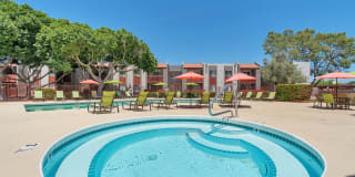 Spring Meadow Gallery 15