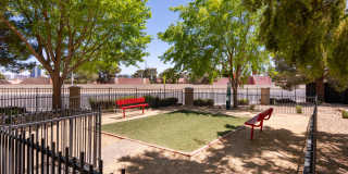 Amara Spring Valley Apartments Gallery 27