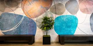 Adara at Seatac Gallery 22
