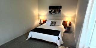 Winter Seasonal Rental- 213 Kestrel Lane Gallery 27