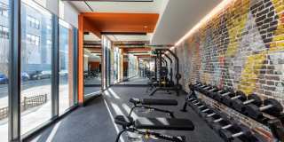 The Ballantine Gallery 15