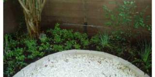 Cottonwood Gallery 10