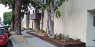 5040 Tujunga Avenue Gallery 15
