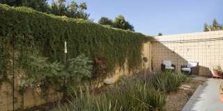 501 Desert Lakes Cir Gallery 59