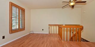 Huge yard with Pikes Peak Views! Gallery 6