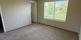 Rare 3 Bed / 2 Bath with Huge Backyard! Gallery 14
