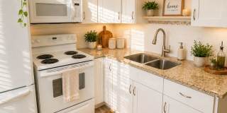 Charming 1-Bedroom Condo Near the Beach – 2501 Harn Blvd #H27, Clearwater, FL Gallery 17