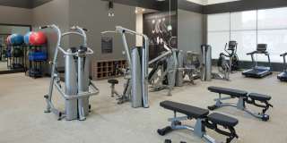 Emery West Highland Gallery 14