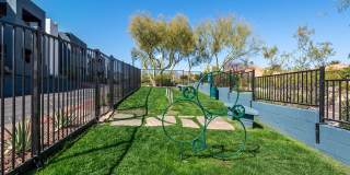 Luna at Fountain Hills by Mark-Taylor Gallery 2