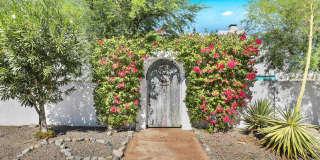 53980 Avenida Mendoza Gallery 1