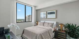 Veneto Las Olas Gallery 4