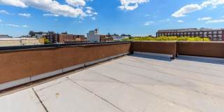 341 Herkimer Street Gallery 12