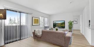 Valleywood Gallery 23