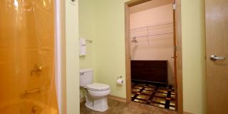 Settlement Place Gallery 225