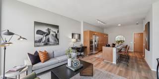 Aston Chicago Gallery 8