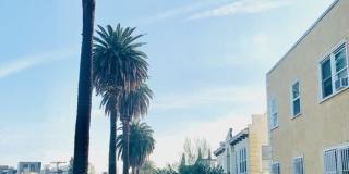 1833 N NORMANDIE Ave unit: 307 Gallery 3