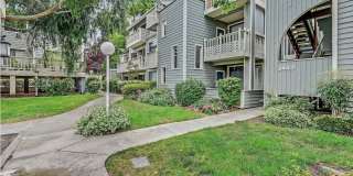 3443 Pepperwood Ter Gallery 19