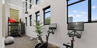 The Campbell Gallery 11