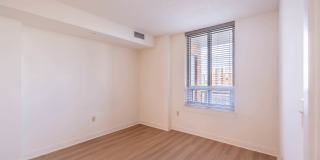 The Veridian Gallery 64