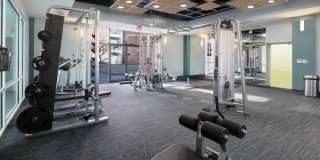 The Biltmore Gallery 32