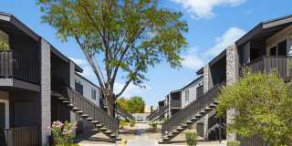 SITE Fifty55 Gallery 17