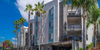 Del Mar Ridge Gallery 2
