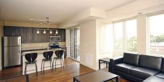 The Elysian Gallery 383