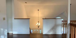 1979 Tison Lane Gallery 12