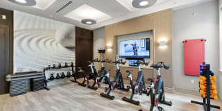 Gables Arsenal Street Gallery 20