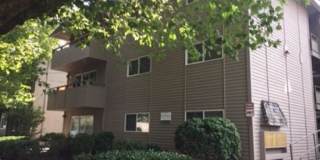 2731 60 Ave SW Gallery 2