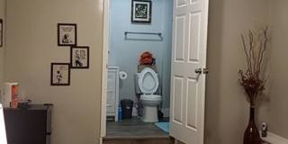 4 Bedroom, 2 bathroom home near Caterpillar Gallery 34