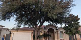 415 Starling Creek Lp Gallery 1