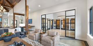The Canter Gallery 26