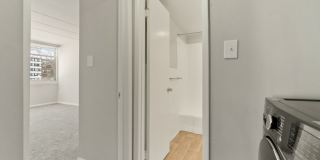 Flora Park Gallery 19