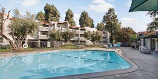 Olive Ridge Apartments Gallery 29