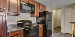 View at University Center Gallery 11