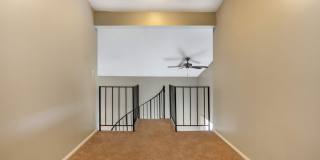 Avanti Gallery 6