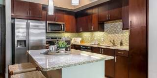 Advenir at Lighthouse Point Gallery 19