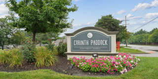 Corinth Paddock Gallery 1