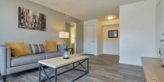 Spring Meadow Gallery 5