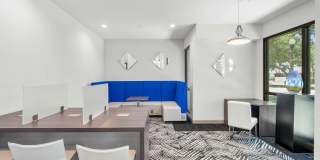 Gallery 3100 Gallery 6