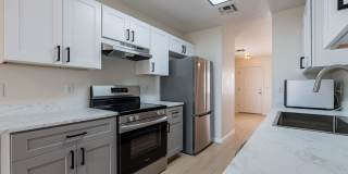 Modern East Tucson Sanctuary: 3BR with Wood Floors & Private Fenced Yard Gallery 13