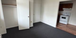 Bird Fort Gallery 1