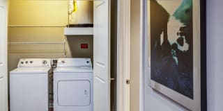 Coldwater Gallery 10