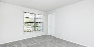 Solana Vista Gallery 66