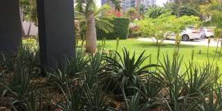 2840 N Ocean Boulevard Gallery 26